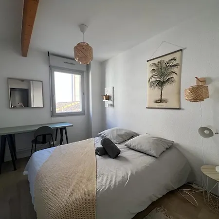 Apartament Beau T3 - Stationnement Prive Tuluza